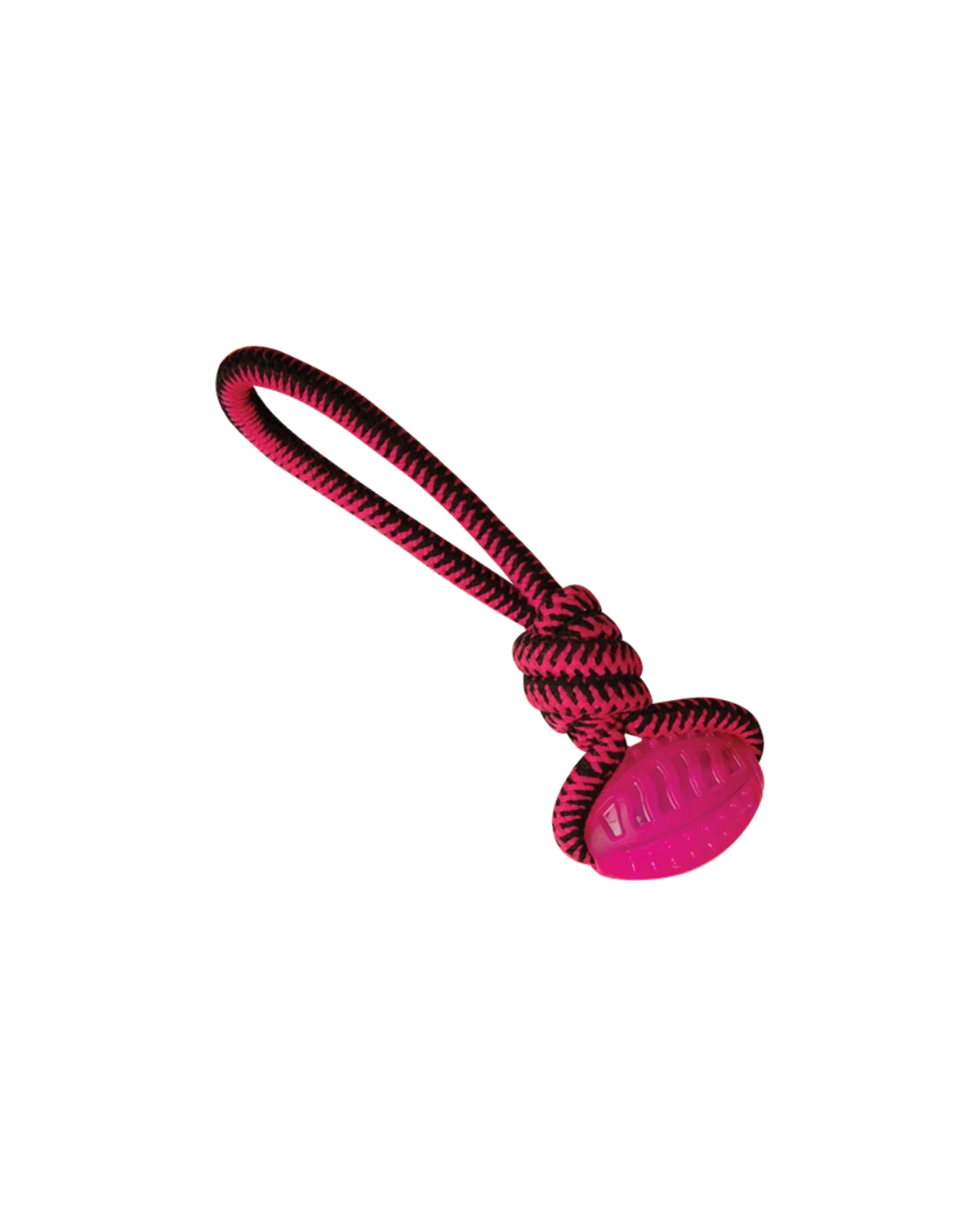 دخترانه نژاد کوچک