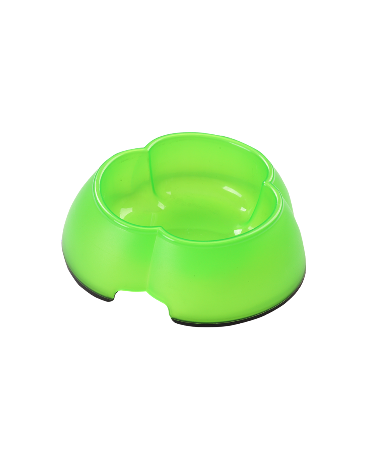 غذای سگ ترخیص کالا